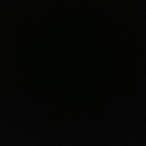 Meet your Posher, Benjamin